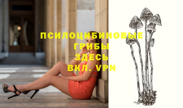 хмурый Новодвинск