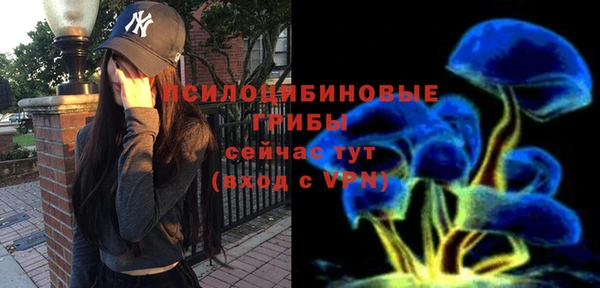 мескалин Новокубанск
