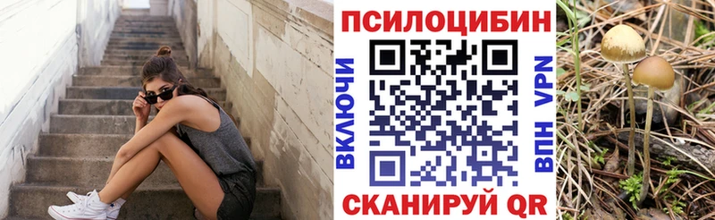 Галлюциногенные грибы мицелий  площадка Telegram  Кондрово 